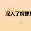 深入了解原型图：概念、制作与实际应用