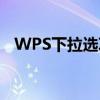WPS下拉选项设置详解：步骤与操作指南