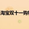淘宝双十一购物狂欢节：探索购物的无限可能