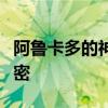 阿鲁卡多的神秘旅程：深入探索未知世界的秘密