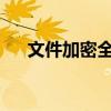 文件加密全攻略：保护隐私与数据安全