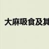 大麻吸食及其影响：对人体健康的危害解析