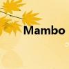 Mambo：引领潮流的全新生活方式