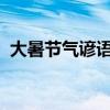 大暑节气谚语：传承智慧的天气与生活谚语