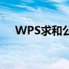 WPS求和公式详解：轻松实现数据汇总