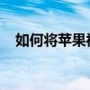 如何将苹果视频导入电脑：详细步骤解析