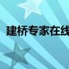 建桥专家在线：探索桥梁建设的网页版平台