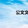 公文文件格式详解及其重要性