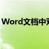 Word文档中双行合一功能的运用与操作指南
