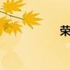 荣耀20详细参数解析