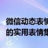 微信动态表情包大解析：最新流行与创意十足的实用表情集合