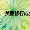 美丽修行成分深度解析：网页版查询指南