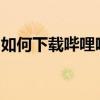 如何下载哔哩哔哩视频：详细步骤与实用技巧