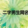 二字男生网名精选：简约气质展现魅力风采