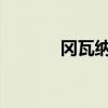 冈瓦纳：探索超级大陆的奥秘