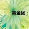 黄金团：揭秘传奇团队的辉煌历程