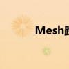 Mesh路由技术解析与应用探讨