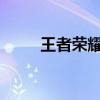 王者荣耀英雄调整最新动态及分析