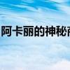 阿卡丽的神秘商店：探索独特魅力的秘密之旅