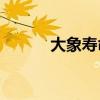 大象寿命揭秘：一般能活多久？