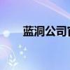 蓝洞公司官网：游戏产业的新领军者