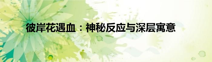 彼岸花碰到血,有人试过吗（彼岸花碰到血的说法是真的假的）