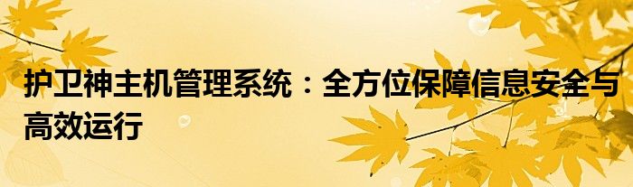 护卫神防御系统的程序（护卫神防护）