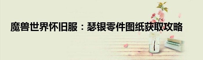 瑟银零件图纸在哪个npc（瑟银零件图纸哪里买）