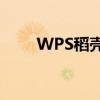WPS稻壳——引领文档设计新风尚