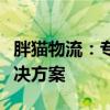 胖猫物流：专业团队打造，高效可靠的物流解决方案