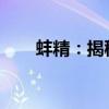 蚌精：揭秘神秘水下世界的奇异生物