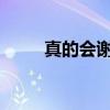 真的会谢，网络流行梗的深入解析