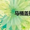 马桶盖拆卸步骤详解：图解教程