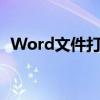 Word文件打开错误：常见问题和解决方案