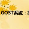 GOST系统：探索俄罗斯标准与技术的新领域