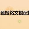 甄姬铭文搭配指南：提升英雄实力，轻松上分