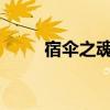 宿伞之魂：第五人格中的神秘力量