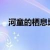 河童的栖息地：探寻河童的密集分布区域