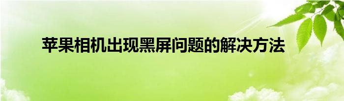 苹果手机相机九宫格在哪里打开（苹果手机相机打不开黑屏怎么办）