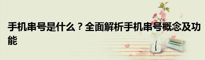手机串号码是什么意思（手机串号有什么用途）