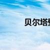 贝尔塔壁挂炉操作指南与说明书