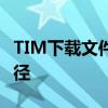 TIM下载文件位置解析：轻松找到文件存储路径
