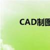 CAD制图的原理、技巧与实践指南