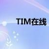 TIM在线：实时沟通，享受多重好处