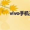 vivo手机开发者选项详解及操作指南