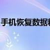 手机恢复数据精灵：数据恢复的终极解决方案