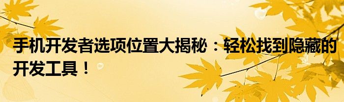 小米手机开发者模式怎么关闭（小米手机开发者选项怎么隐藏回去）