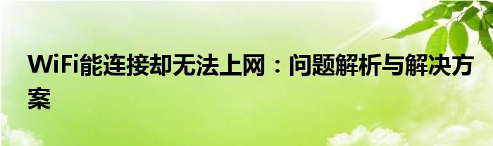 wifi能连接但是上不了网怎么办（wifi能连接但是不能上网是什么原因）