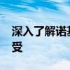 深入了解诺基亚920T：性能、设计与使用感受