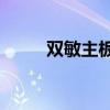 双敏主板U盘启动教程及注意事项